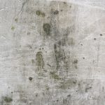 Tratamento antibolor para interiores - Imagem 1