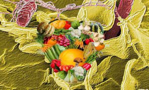 desinfectantes en la industria alimentaria