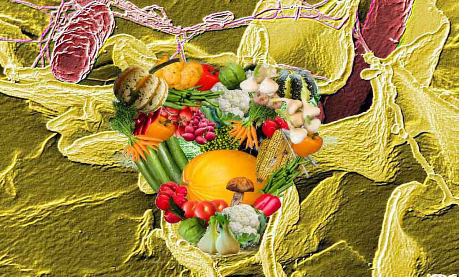 desinfectantes en la industria alimentaria