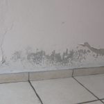 Instant mortar-setting mineralising accelerator - Image 1