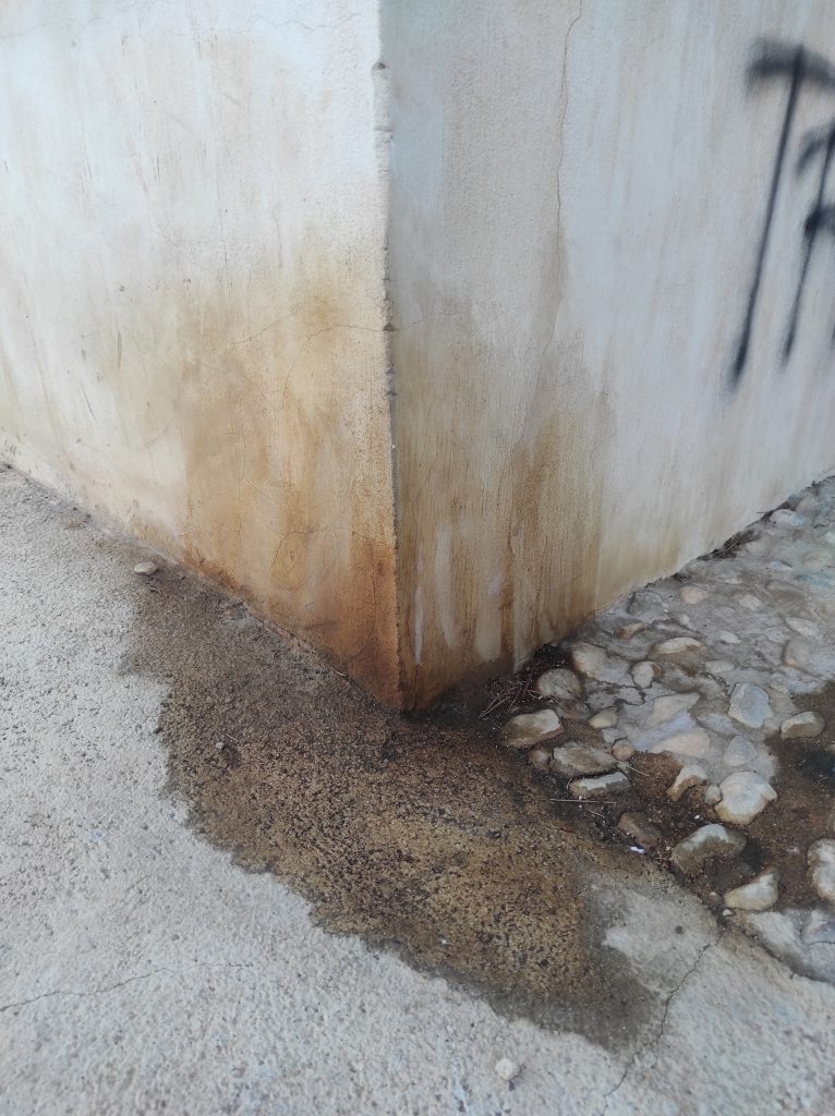 Oil-repellent stain protector for mineral substrates